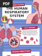 Air Pathway in the Respiratory System | PDF