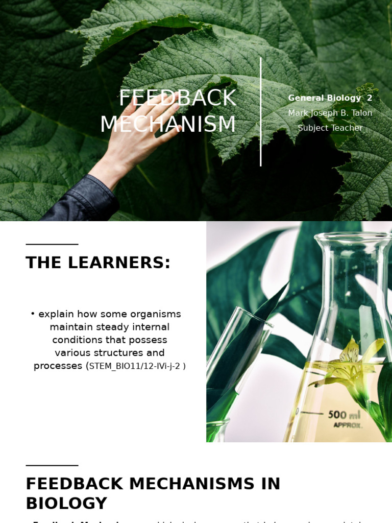 Understanding Feedback Mechanisms in Biology | PDF | Homeostasis ...