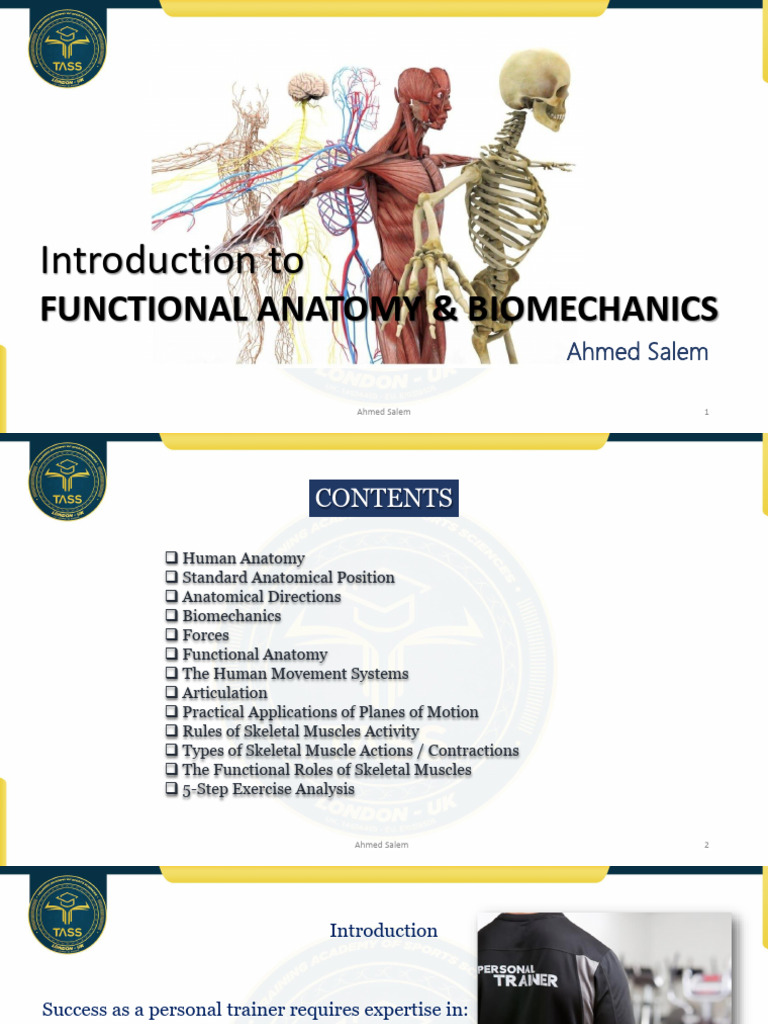 Introduction To: Functional Anatomy & Biomechanics | PDF | Anatomical ...