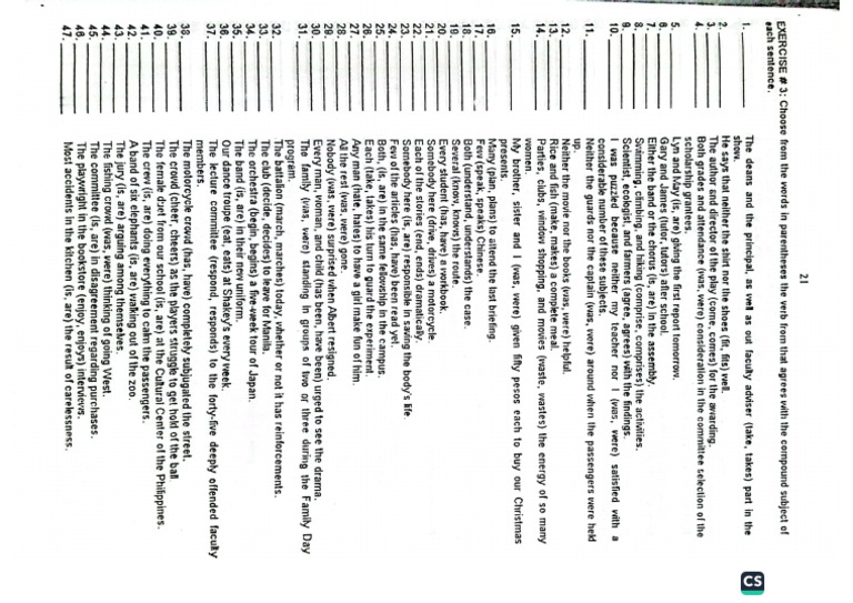 SV Agreement Exercises | PDF