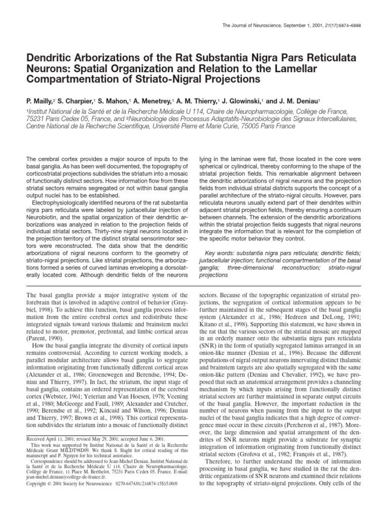 Article Charpier Striatum (5) | PDF | Striatum | Basal Ganglia