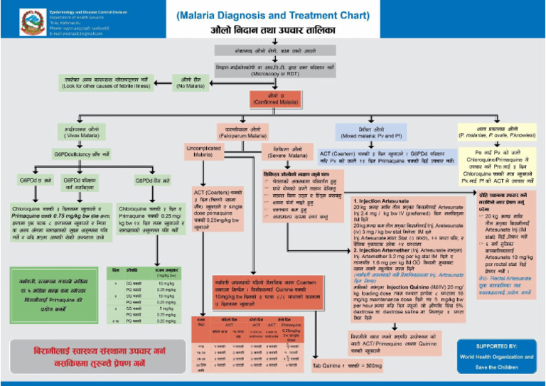 Malaria Diagnosis and Treatment Protocol | PDF
