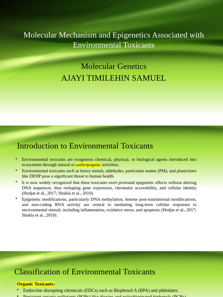Epigenetics of Environmental Toxicants | PDF | Reactive Oxygen Species ...
