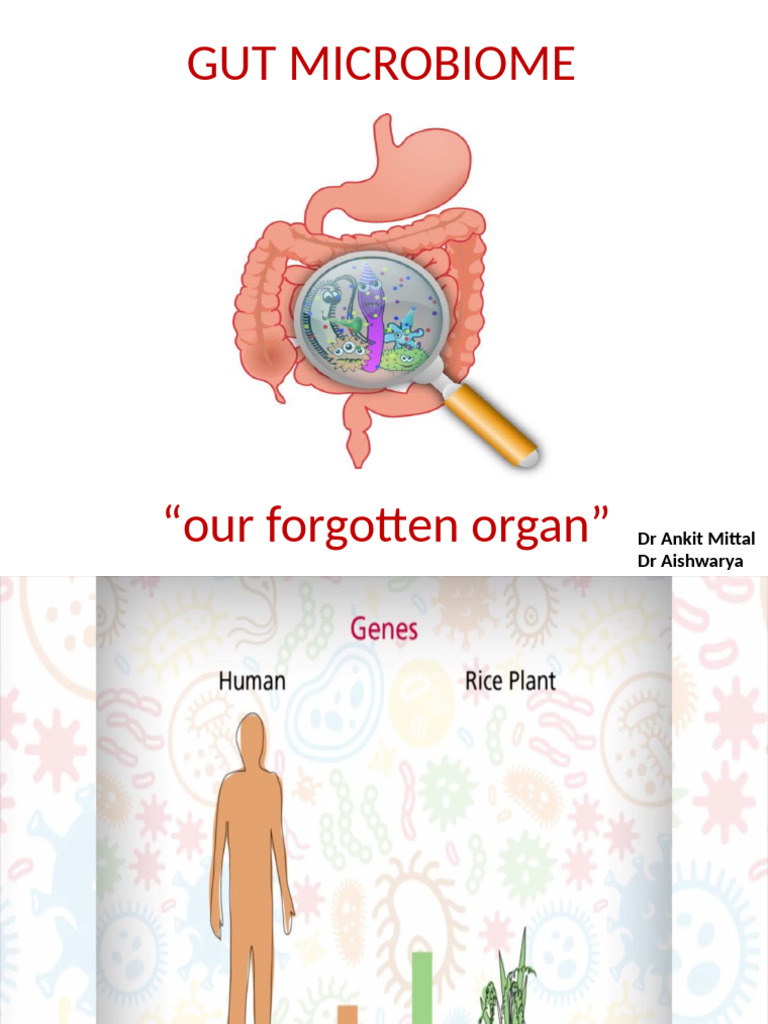 Understanding the Gut Microbiome | PDF | Probiotic | Inflammatory Bowel ...