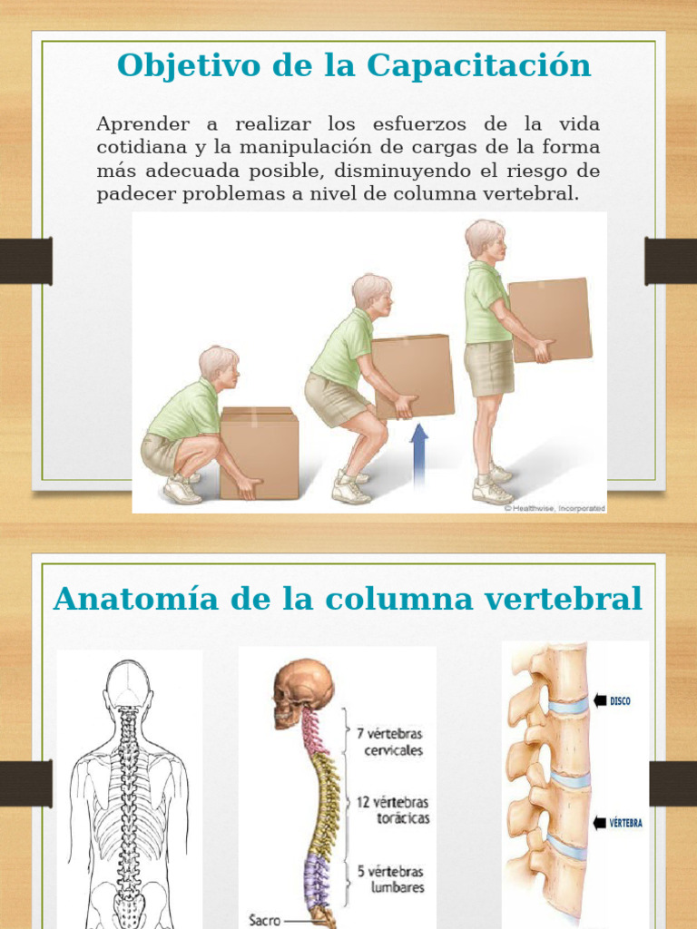 Capacitacion Manipulacion de Cargas | PDF | Dolor lumbar