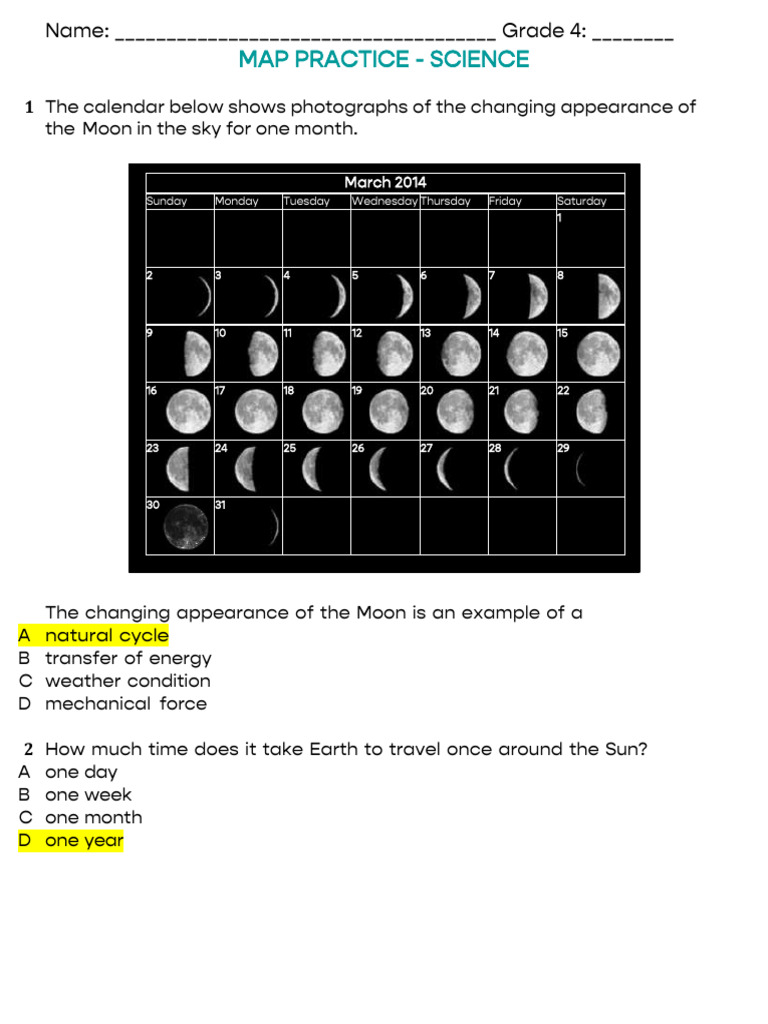 Grade 4 Science MAP Practice Answer Key | PDF | Trees | Plants
