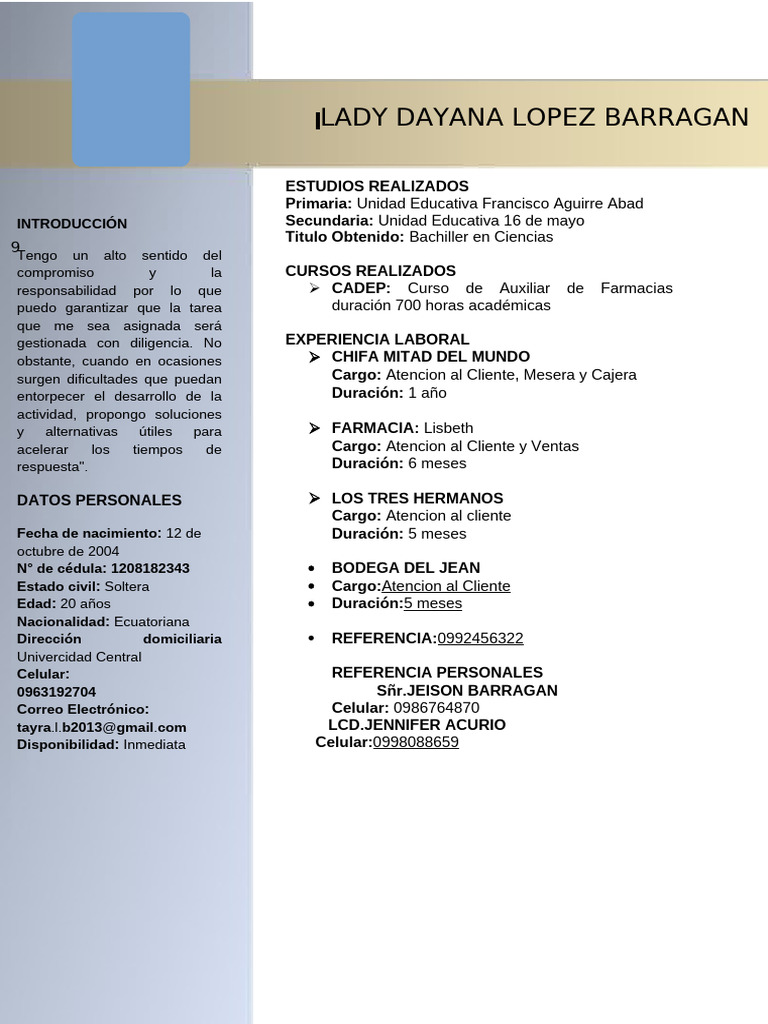 Perfil Profesional de Dayana Barragán | PDF