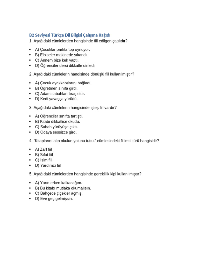 B2 Turkce Dilbilgisi Calisma Kagidi | PDF