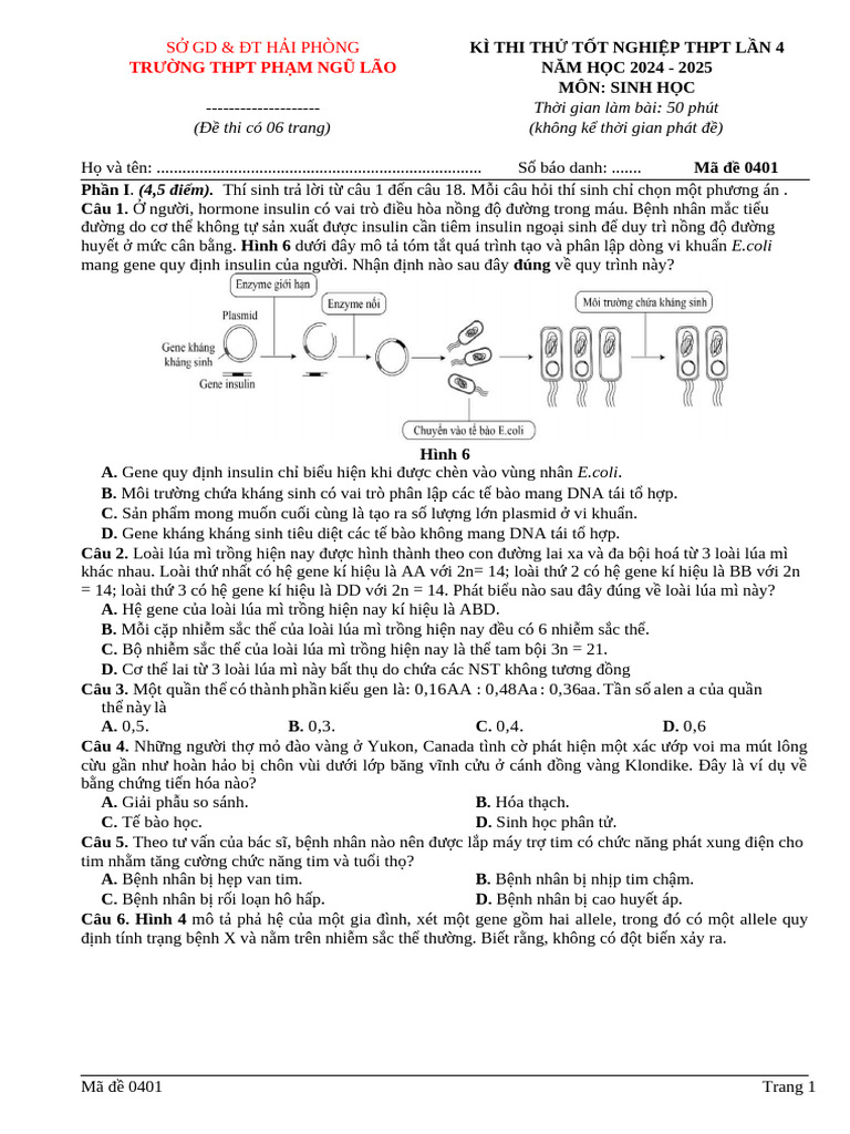 Ma de 0401 | PDF