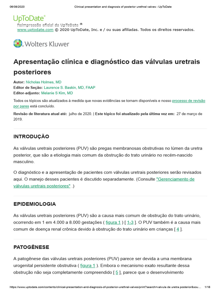 Clinical Overview of Posterior Urethral Valves | PDF | Genitourinary ...