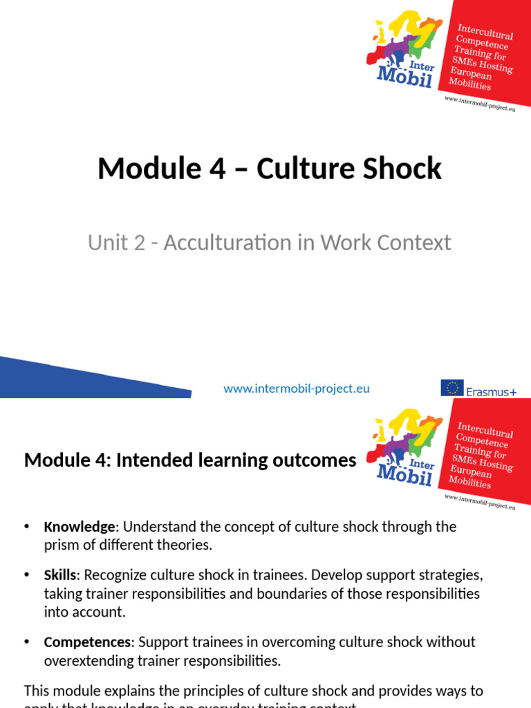 M4 - U2 - Acculturation in Work Context | PDF | Cultural Assimilation ...
