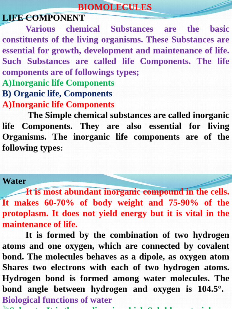 Biomolecules 1079757599959971 | PDF | Rna | Dna