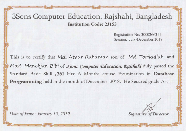 Database Programming Certificate | PDF