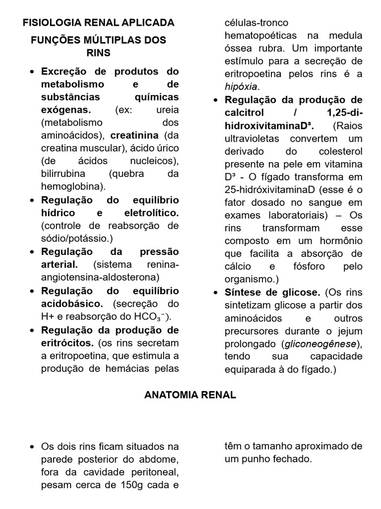 Funções e Anatomia dos Rins Humanos | PDF | Rim | Endotélio