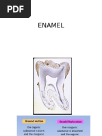 Enamel: Physical and Chemical Properties | PDF | Tooth Enamel | Tooth