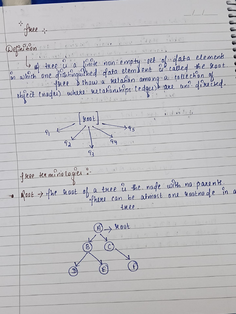 Understanding Binary Tree Structures | PDF
