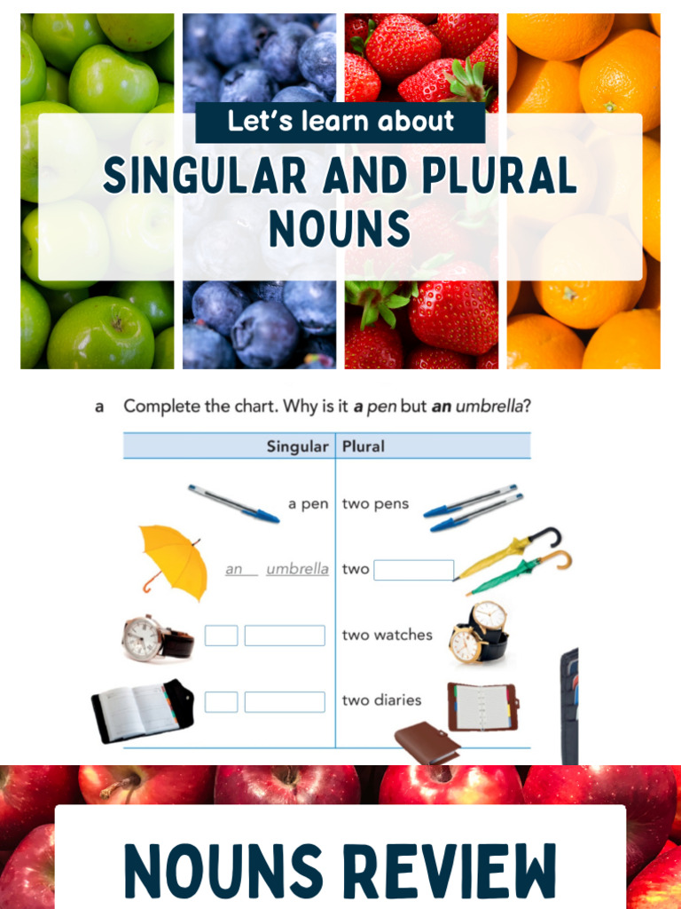 Singular And Plural Nouns Articles Pdf