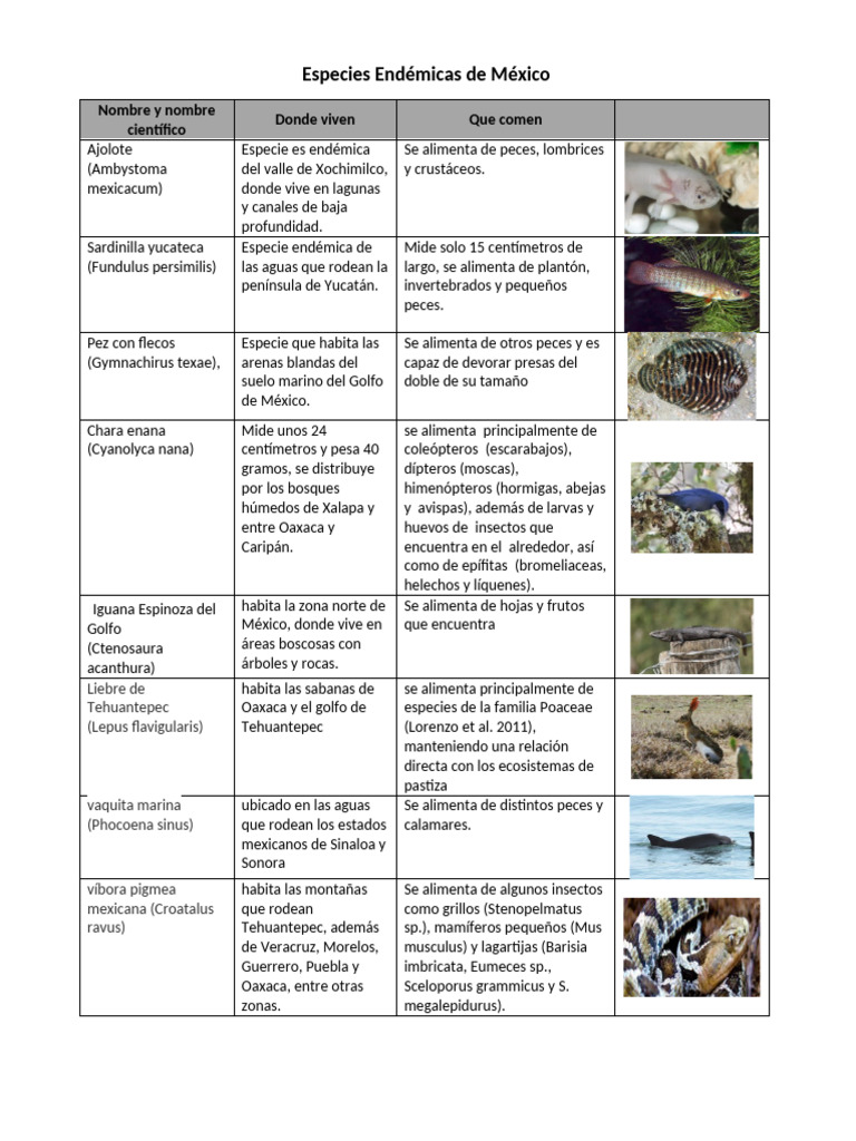 Animales Endémicos de México | PDF | Mosca | Zoología