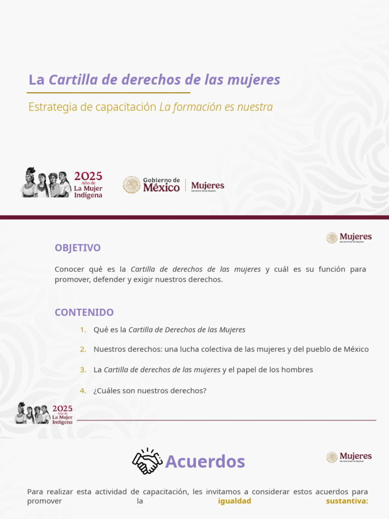 Cartilla de Derechos de las Mujeres | PDF | Derechos de las mujeres ...