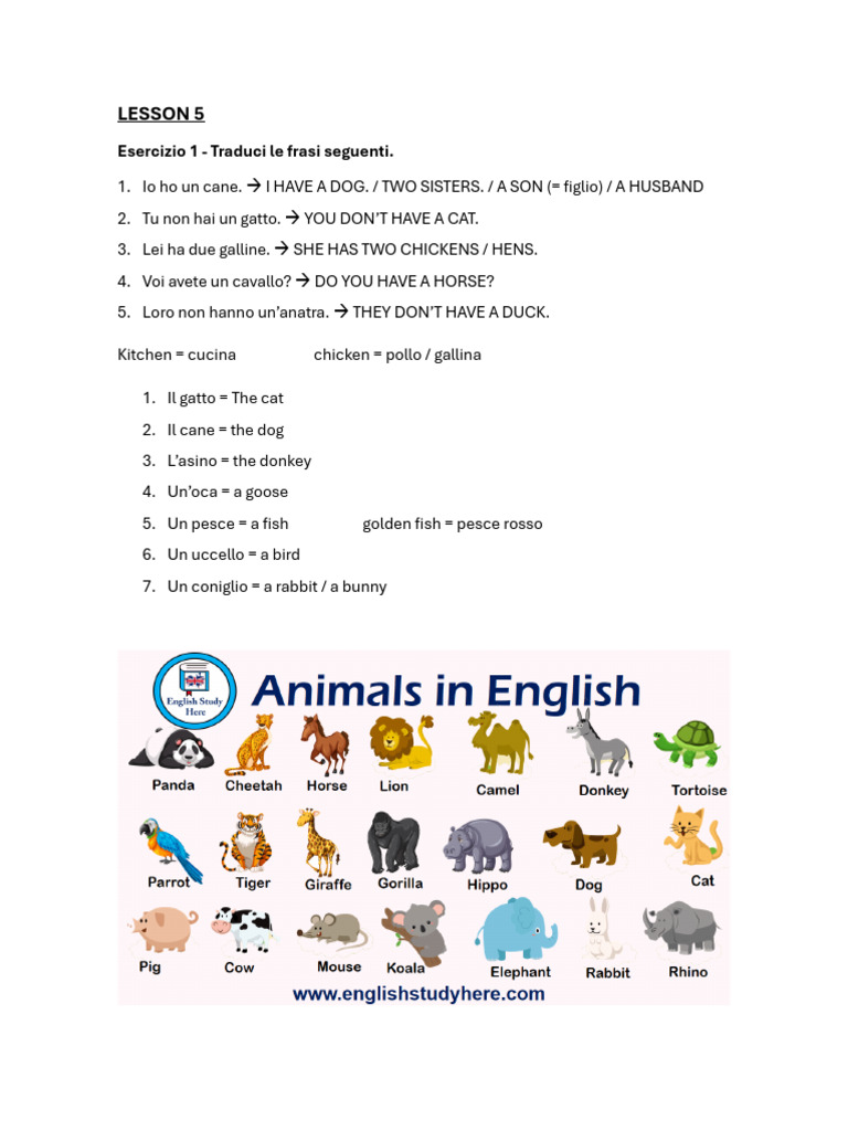 Lesson 5 | PDF