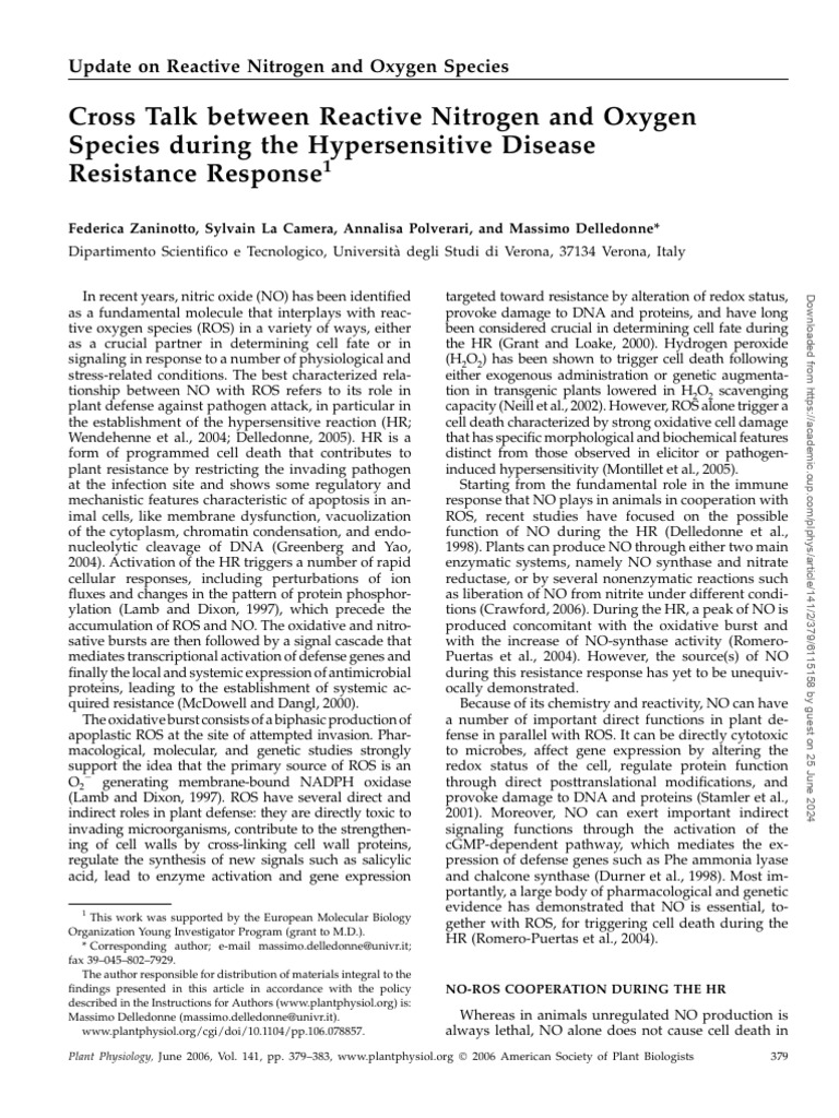 Cross Talk Between Reactive Nitrogen and Oxygen Species During The ...