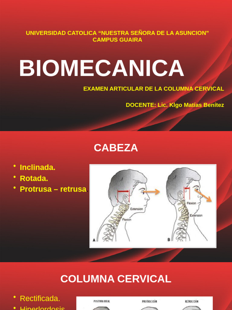 Valoracion Columna Cervical | PDF | La columna vertebral | Sistema ...