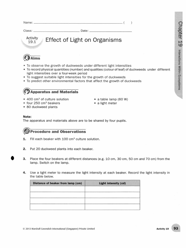 S2-SCIENCE Matters Practical (Chapter) 19 | PDF