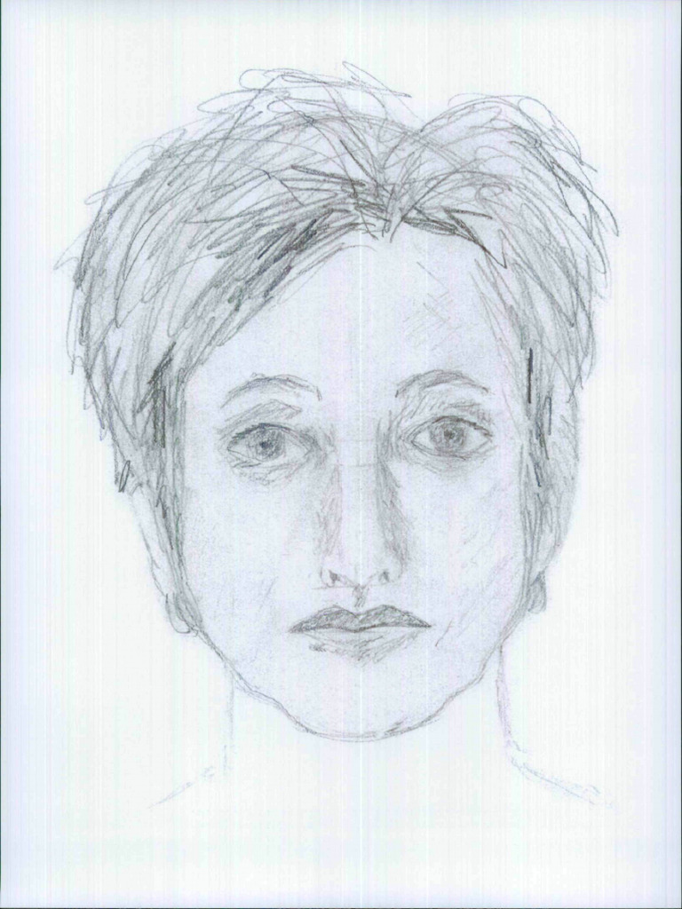 Drawing the Frontal Face: A Guide | PDF | Human Nose | Shadow