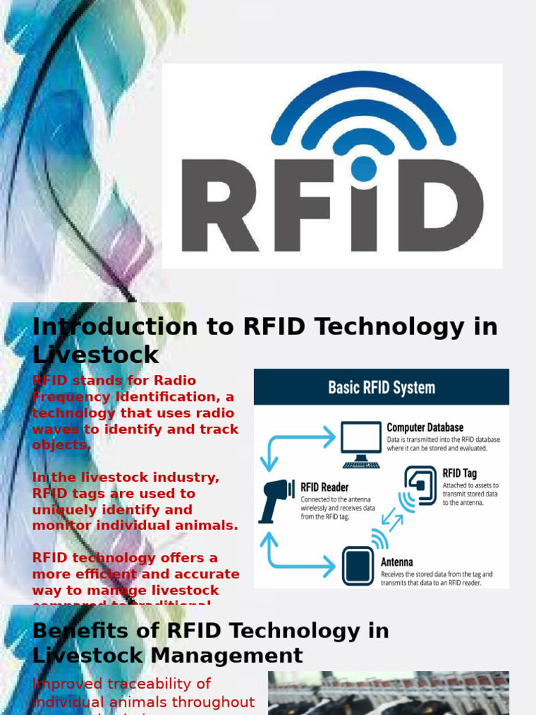 RFID Technology in Live Stock | PDF | Radio Frequency Identification
