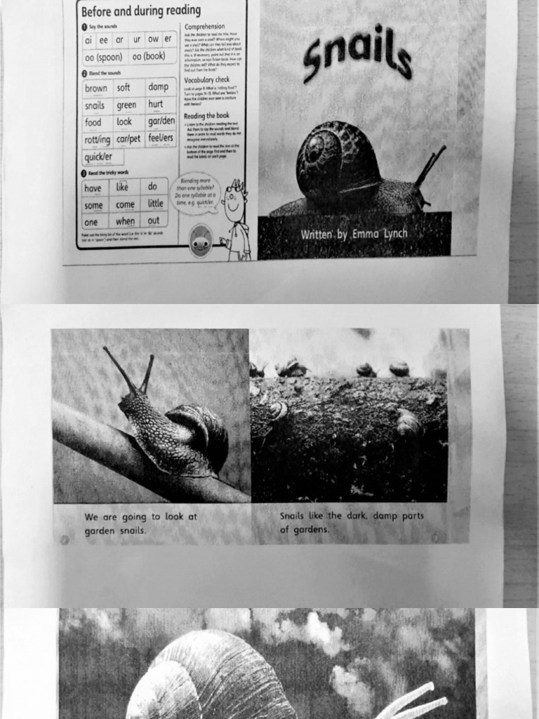 Snails | PDF