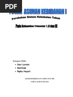 Download Kehamilan Trimester by Ipkha Wiilqta Setyawan SN87753121 doc pdf
