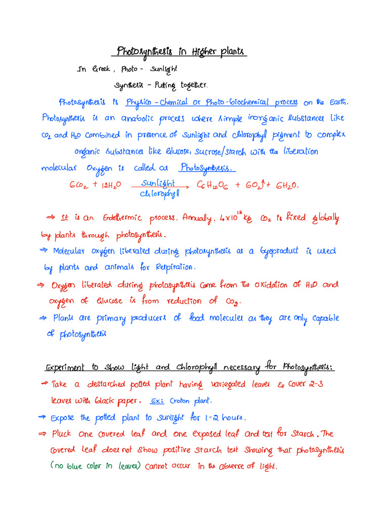 Photosynthesis in Higher Plants Explained | PDF | Photosynthesis ...