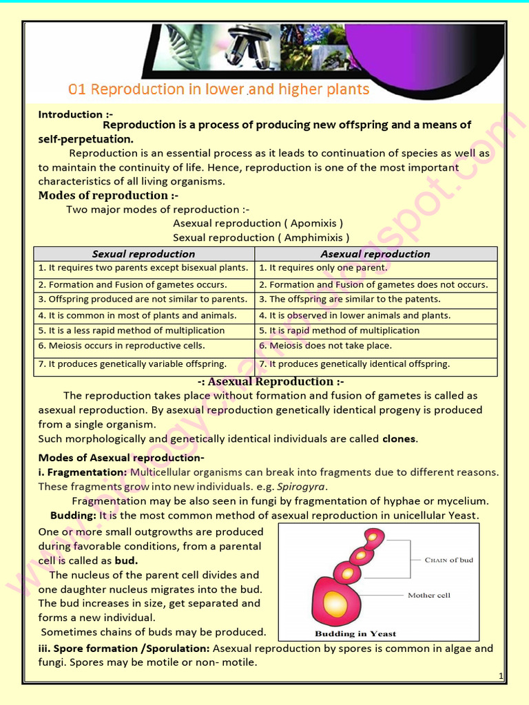 Modes of Reproduction Explained | PDF | Fertilisation | Sexual Reproduction