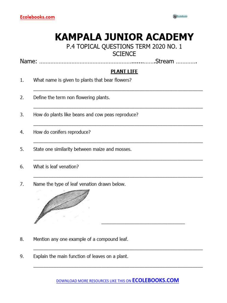 P.4 Science Questions on Plant Life | PDF | Mulch | Sowing