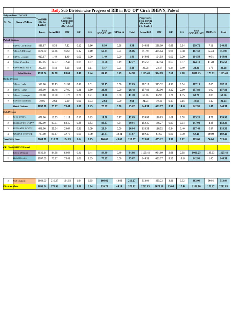 Daily RIB Progress Report - June 2025 | PDF
