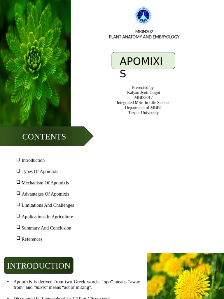 Mbi23017 Kalyan Jyoti Gogoi Apomixis | PDF | Life Sciences | Plants