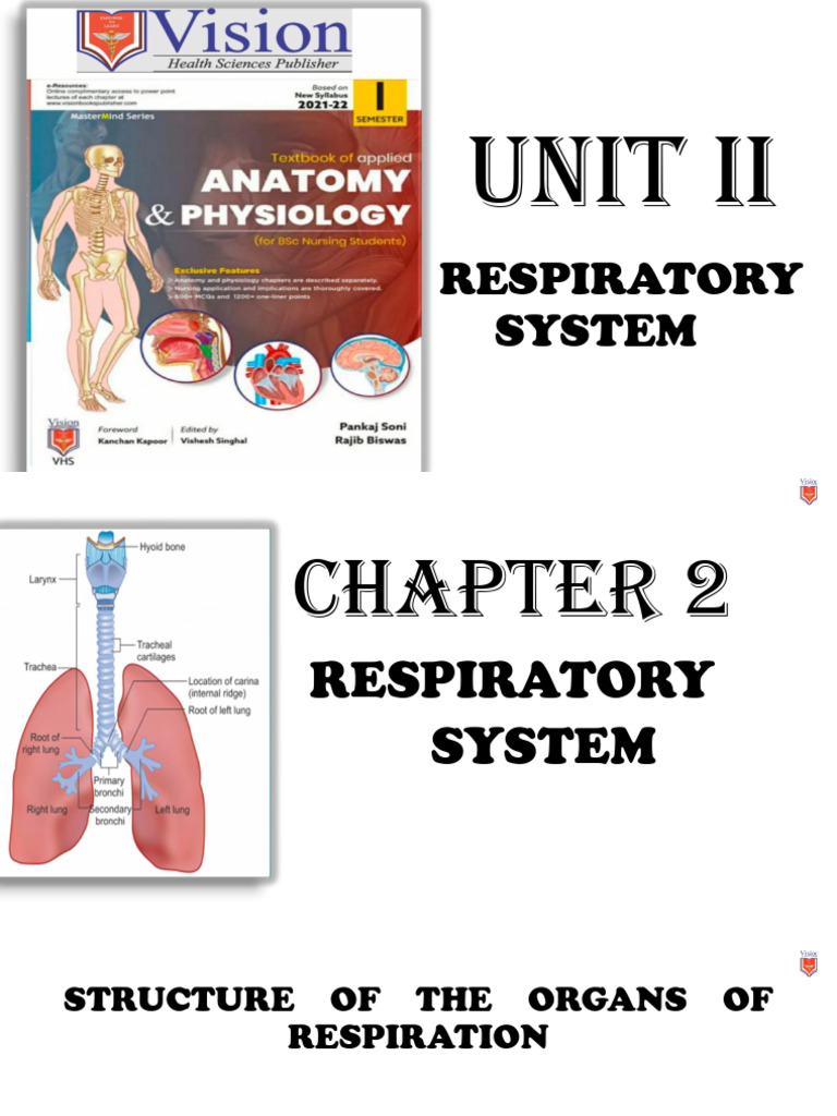 Anatomy of the Respiratory System | PDF | Respiratory Tract | Lung