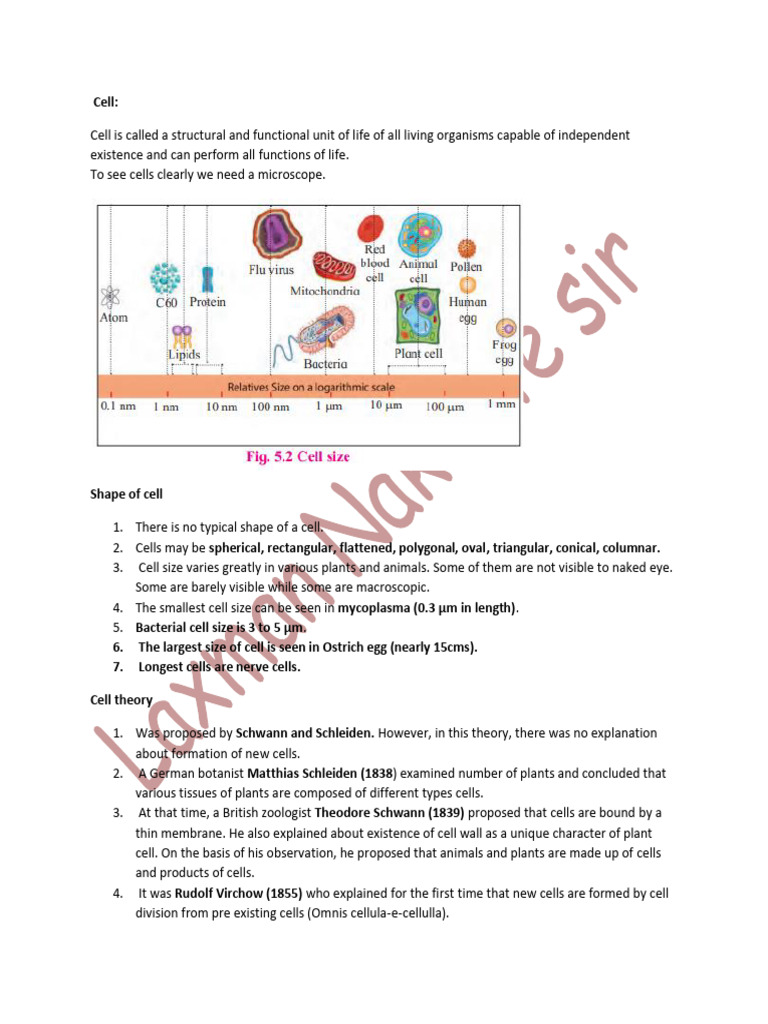 Overview of Cell Biology Concepts | PDF | Endoplasmic Reticulum | Cell ...
