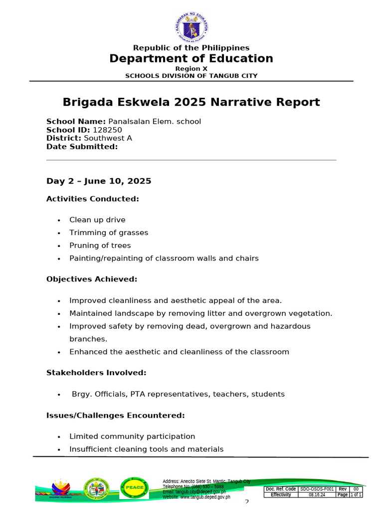 Brigada Eskwela 2025 Report: Panalsalan Elem. | PDF