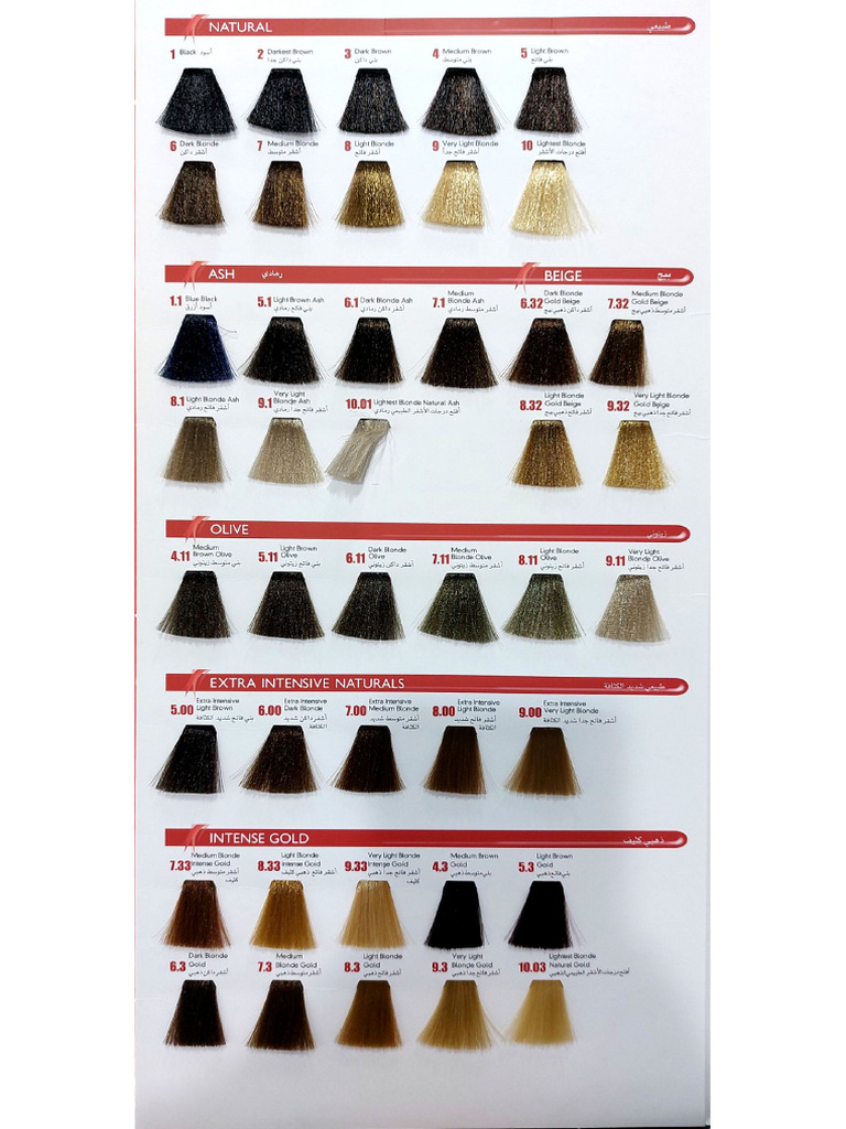 Chart-Coloray_250224_153719 | PDF