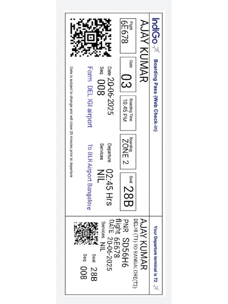 Indigo flight pdf