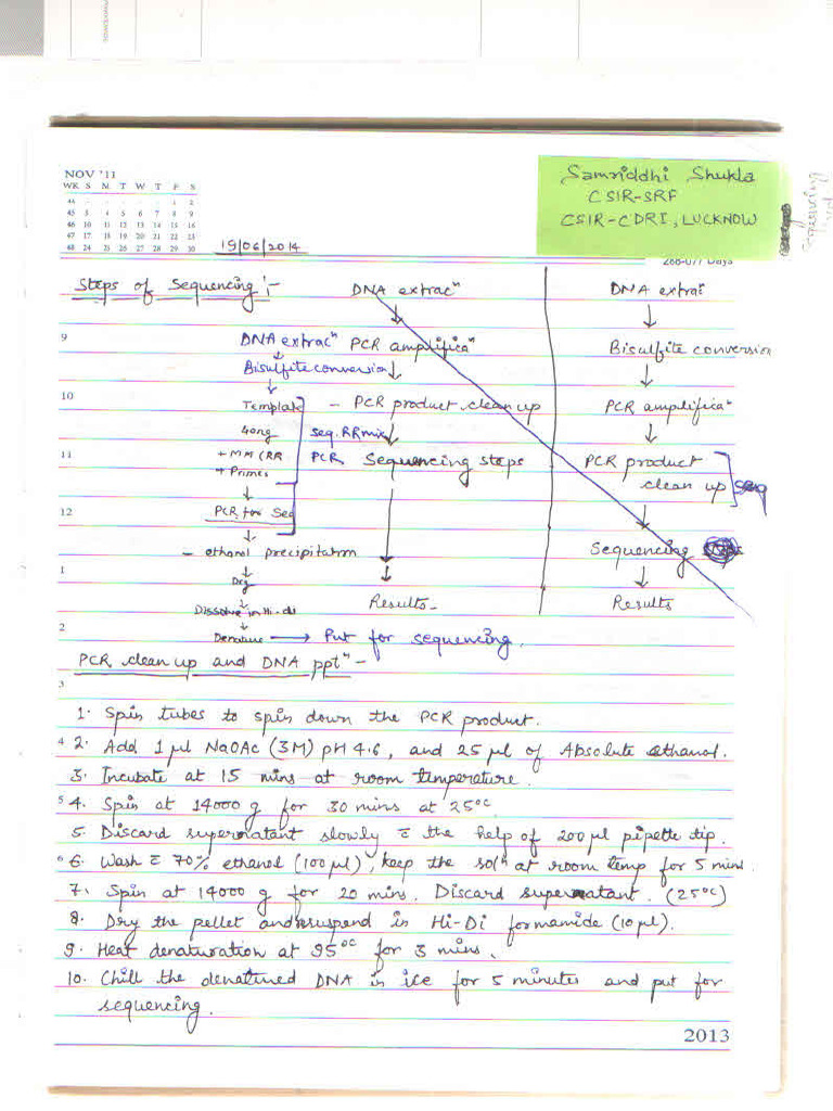 DNA Sequencing | PDF
