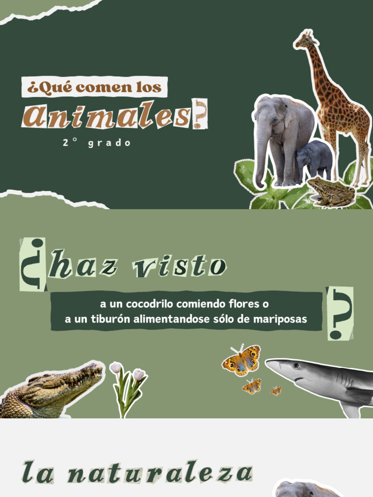 Presentación Educativa Sobre Que Comen Los Animales Ilustrativa Verde y ...