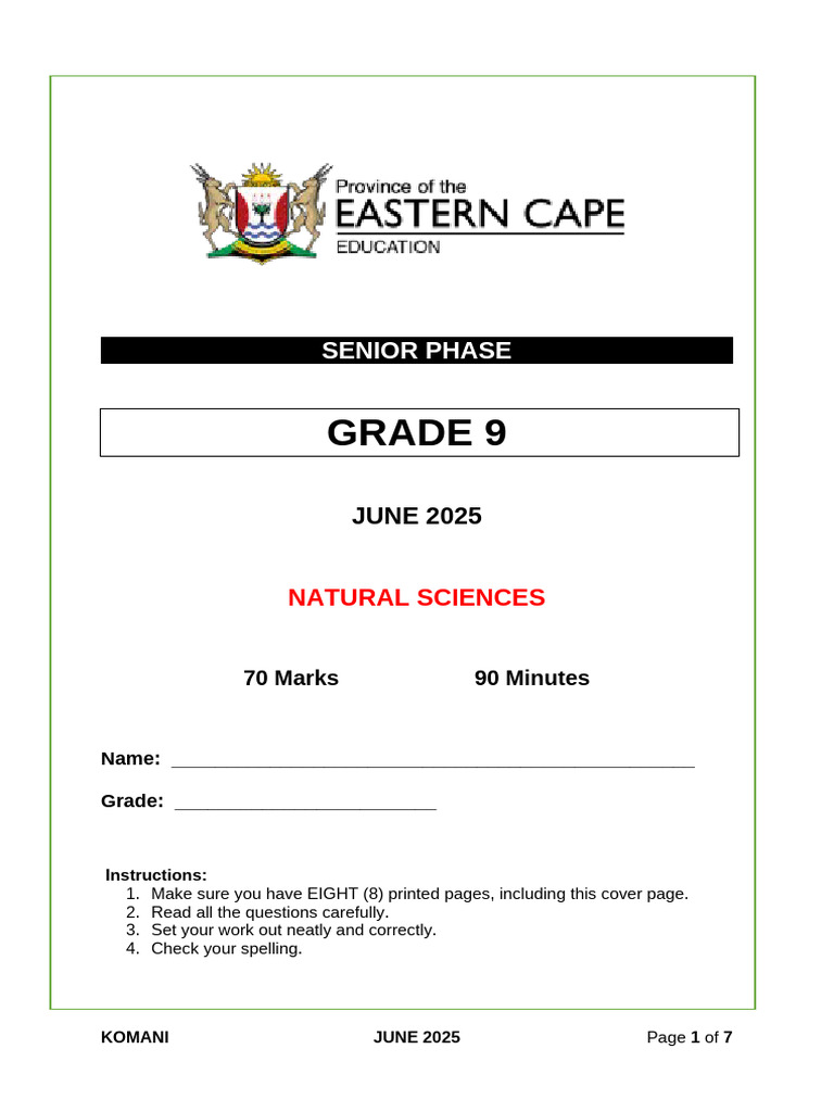 Grade 9 Natural Sciences Exam 2025 | PDF | Chemical Substances ...