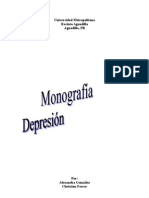 Monografia Depresion