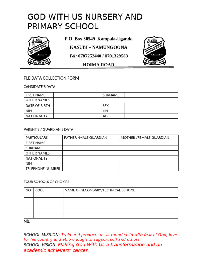 Ple Data Collection Form | PDF