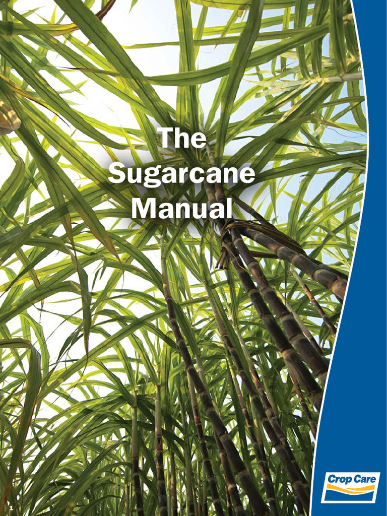 Velpar K4 in Sugarcane Weed Control | PDF | Crop Rotation | Herbicide