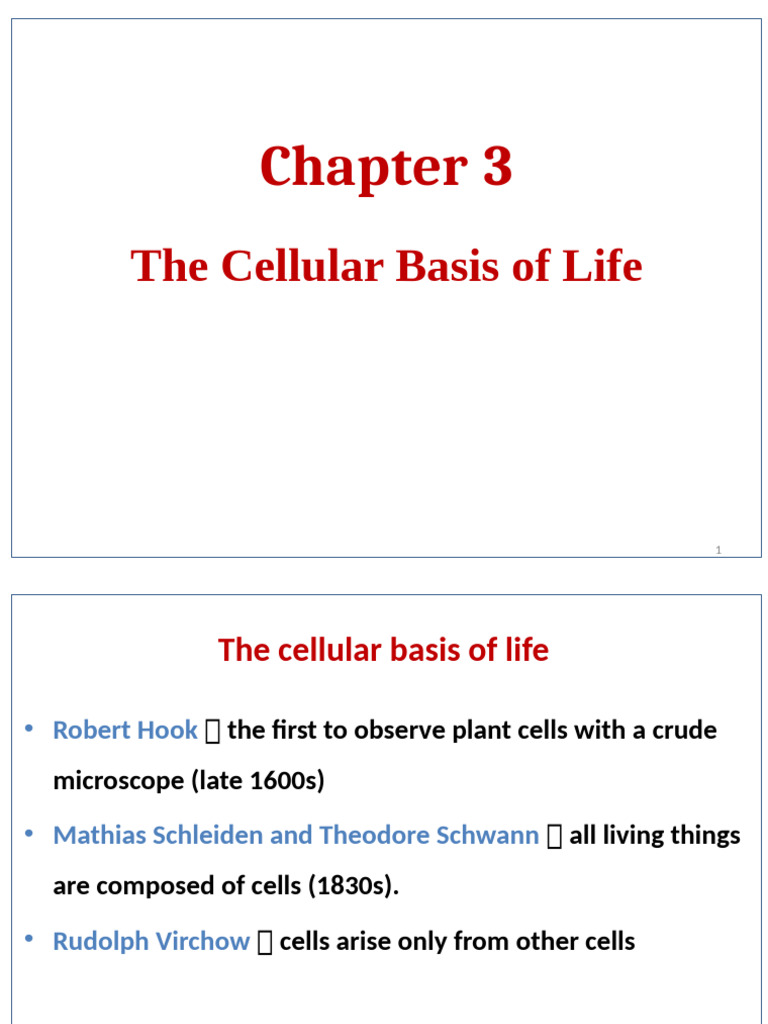 Lysosomes: Digestive Membrane Sacs | PDF | Endoplasmic Reticulum | Cell ...