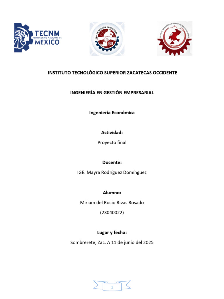 Proyecto Final MRRR | PDF | Tasa interna de retorno | Economias