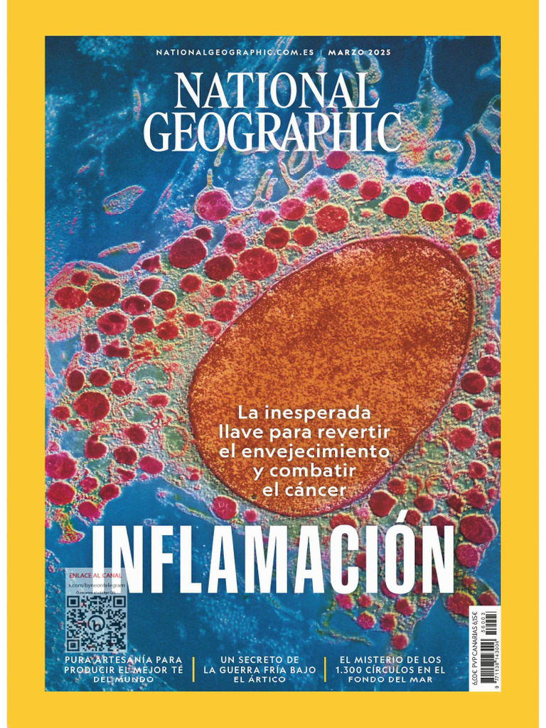 03 25 National Geographic | PDF